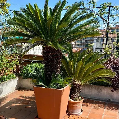 Il Giardino Sospeso Di Anna Apartment